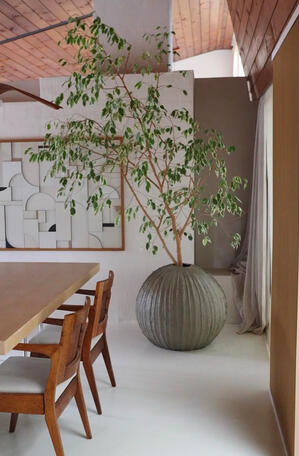 XL gym ball planter - split XL gym ball planter - split